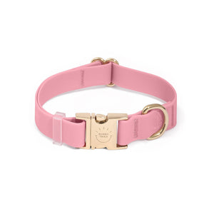 Perfect Pink Waterproof Dog Collar