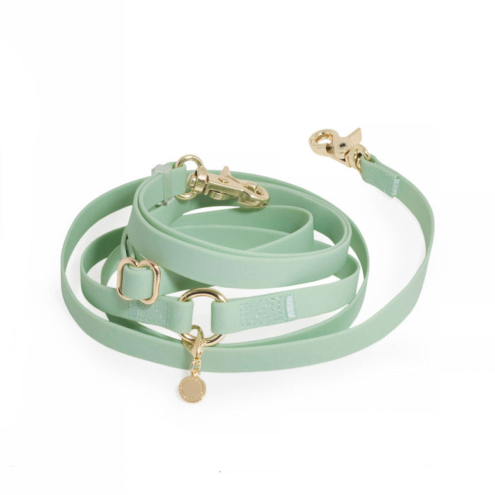 Pistachio Green 4-in-1 Convertible Hands Free Dog Leash