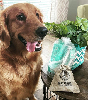 Puppy Polisher Shampoo Brush