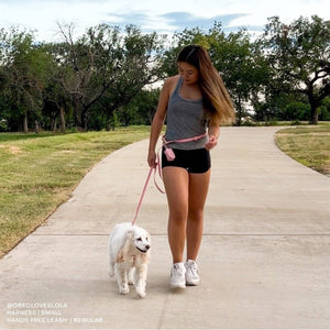 Perfect Pink 4-in-1 Convertible Hands Free Cloud Dog Leash