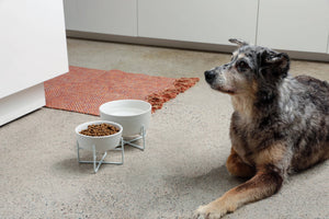 Simple Solid Bowl + Dog Bowl Stand