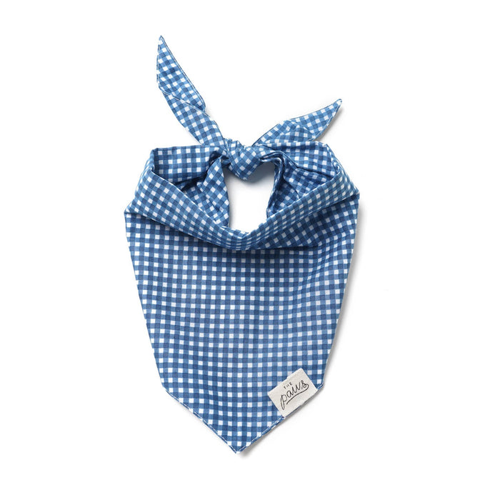 Blue Gingham Dog Bandana