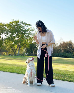 Perfect Pink 4-in-1 Convertible Hands Free Cloud Dog Leash