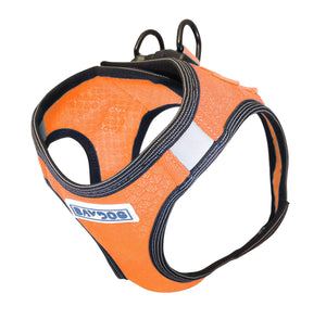 BayDog Liberty Harness