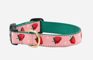 Up Country Strawberry Collar