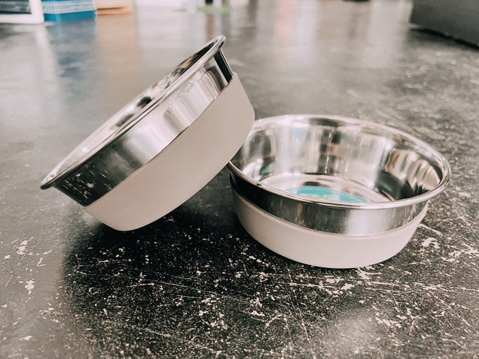 Messy Mutts Stainless Steel Removable Gray Silicone Bowl